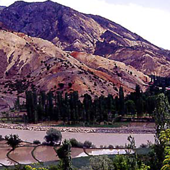 Tamzara