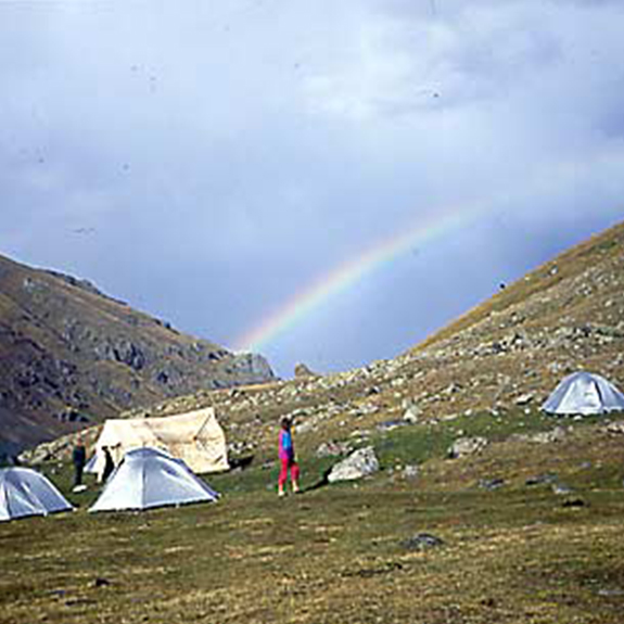 Tamzara
