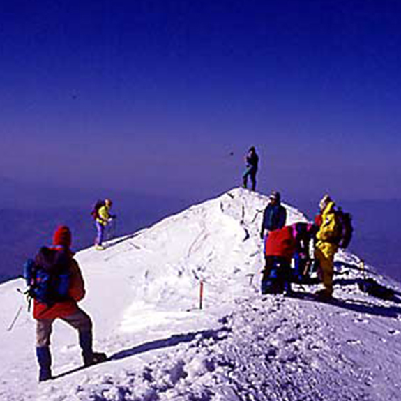 Tamzara
