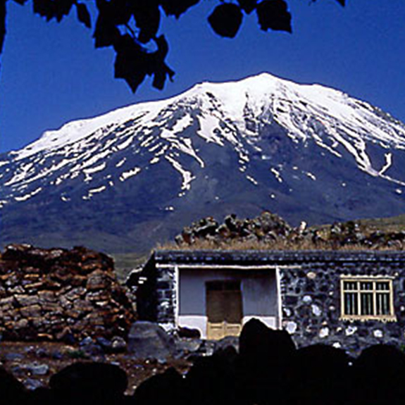 Tamzara