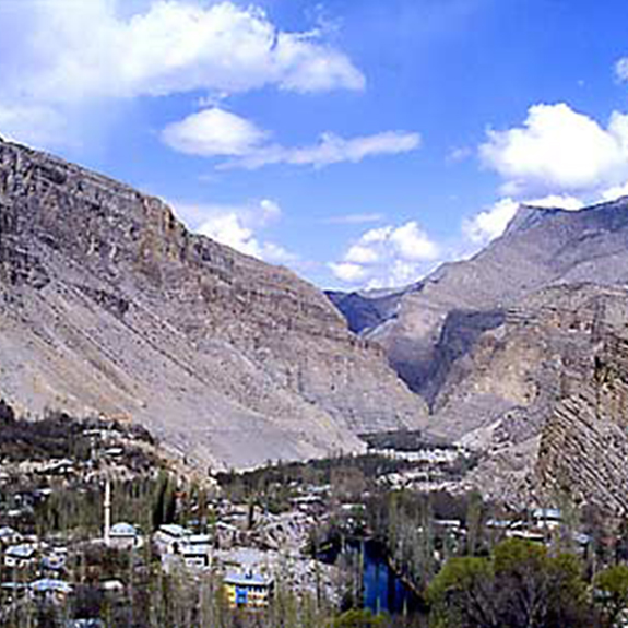 Tamzara