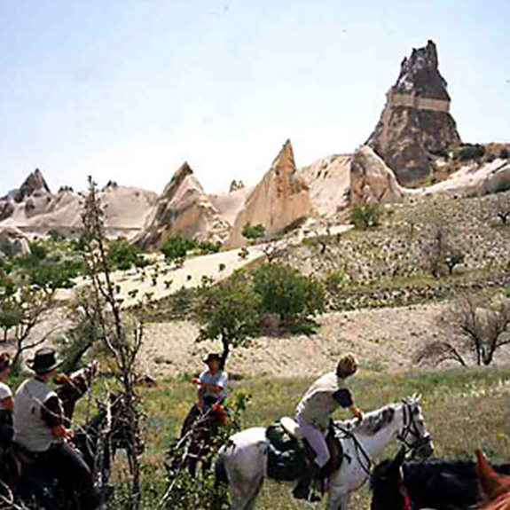 Tamzara