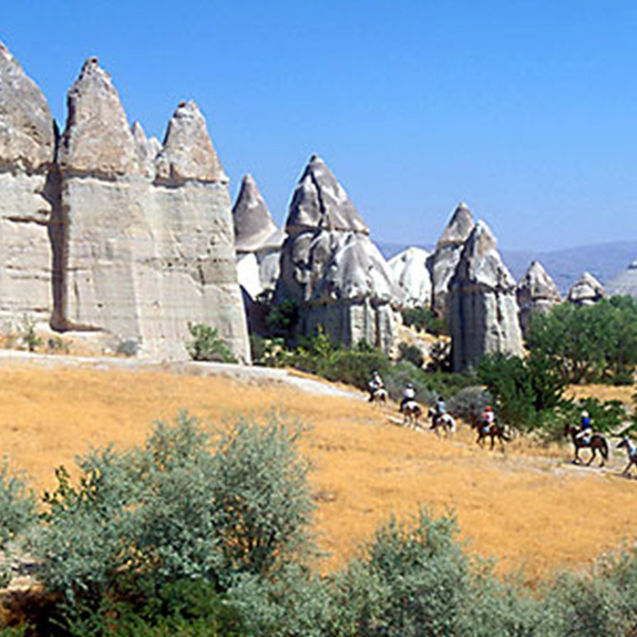 Tamzara