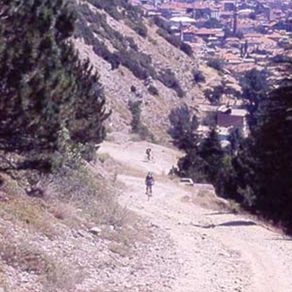 Tamzara