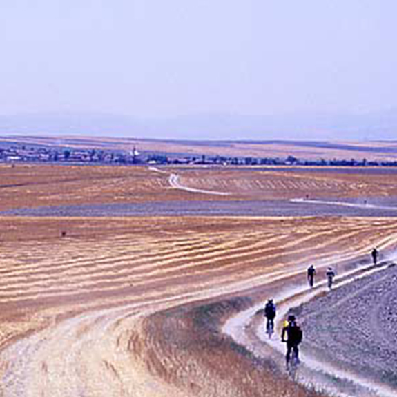 Tamzara