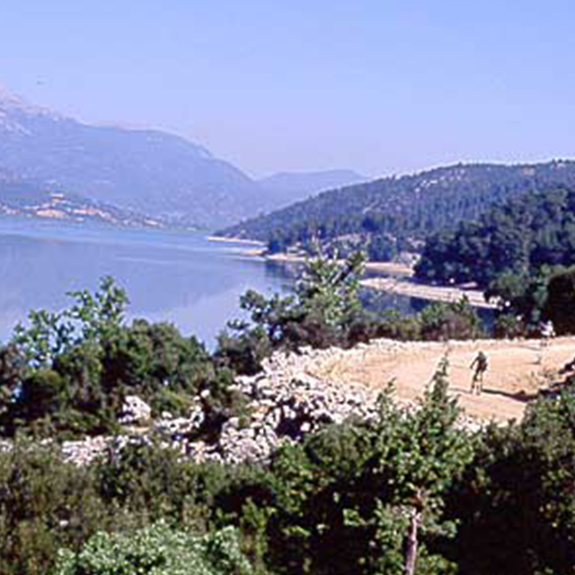 Tamzara