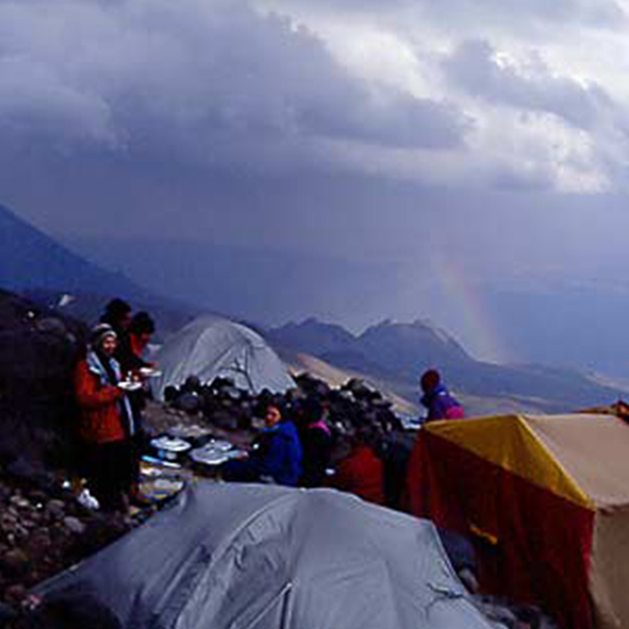 Tamzara