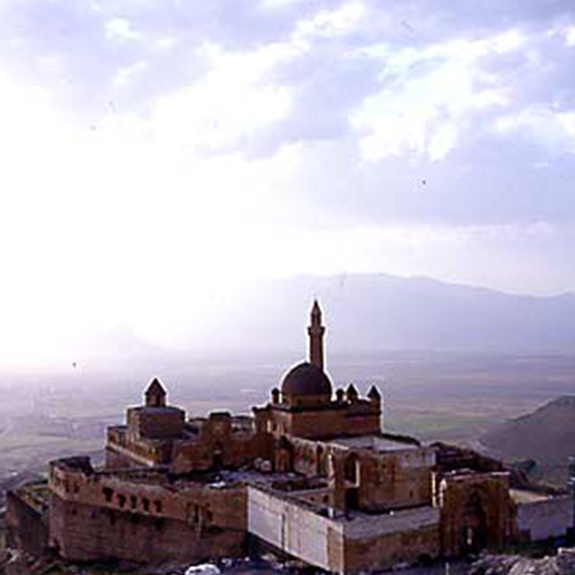 Tamzara