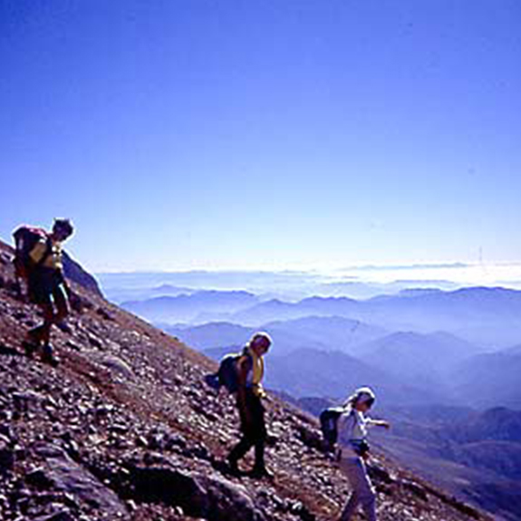 Tamzara