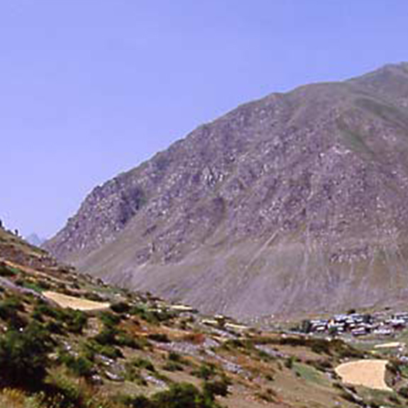 Tamzara