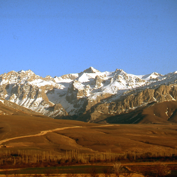 Tamzara