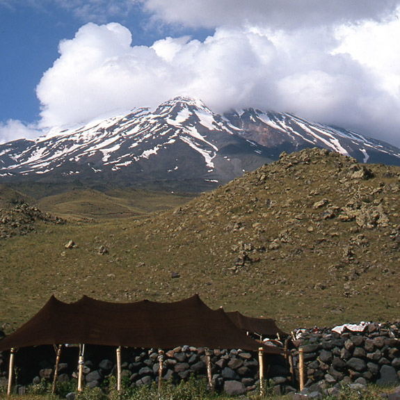 Tamzara