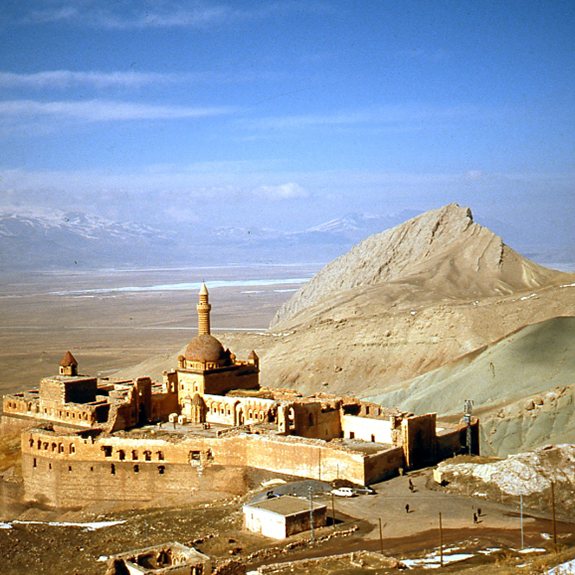 Tamzara
