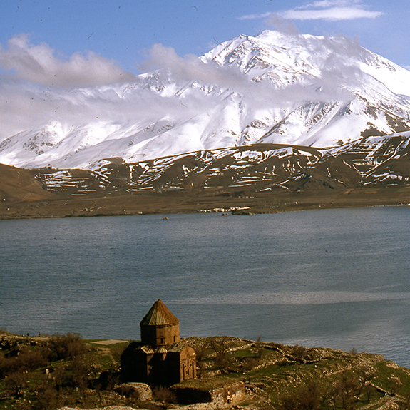 Tamzara